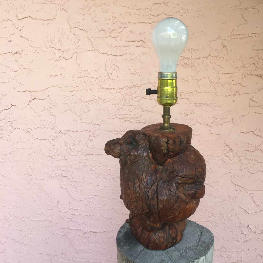 Handmade Cypress Knee Lamp Florida